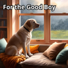 For the Good Boy